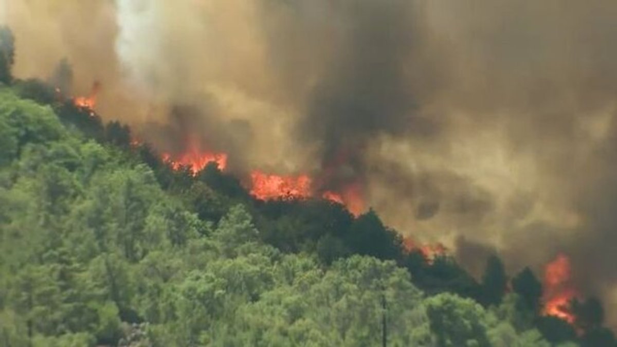 آتش به جان جنگل های کلاردشت افتاد / اعزام بالگرد به منطقه برای اطفای حریق 