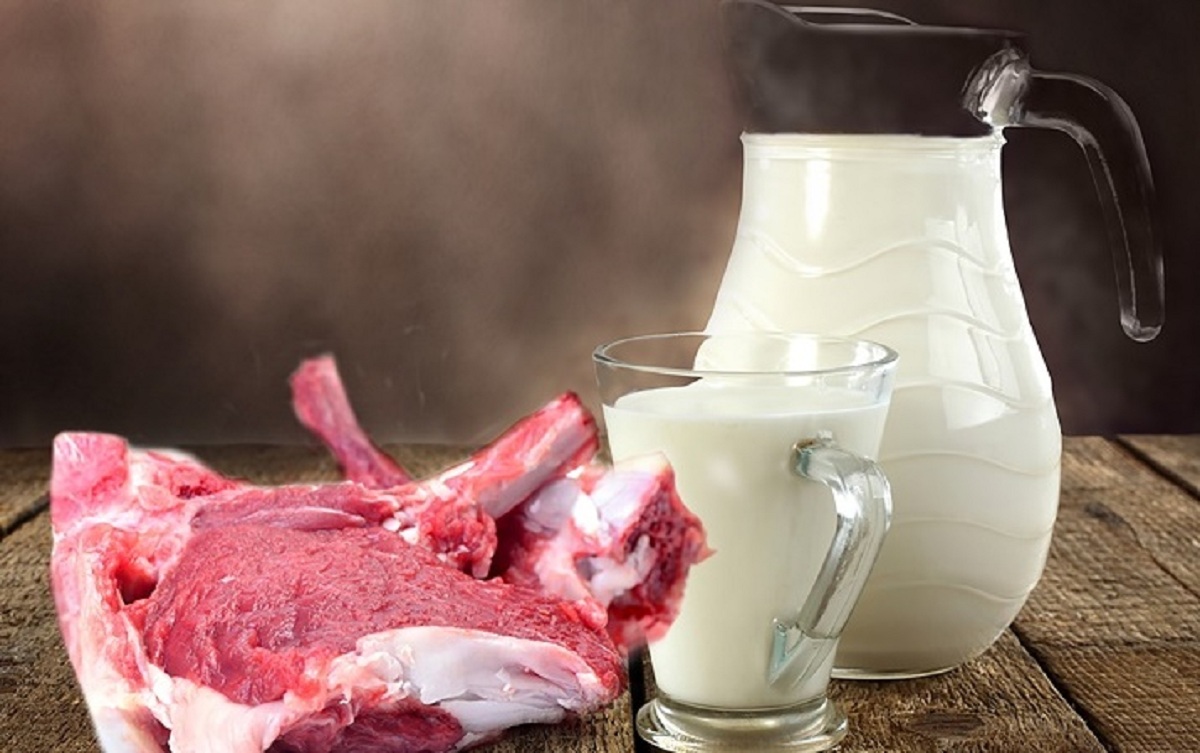 معامله ۱۴.۱درصد از کل سهام شرکت شیر و گوشت زاگرس شهرکرد