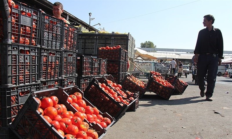 گوجه‌فرنگی ایرانی به قیمت ۱۴هزار تومان در پاکستان