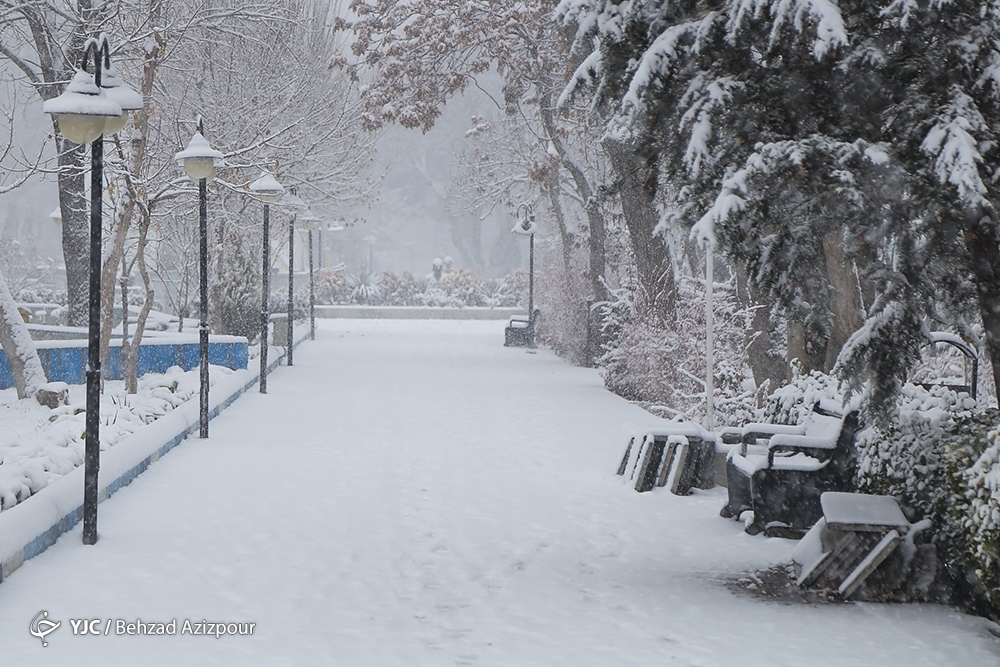 چشم نوازی برف در خیابان های تبریز + عکس