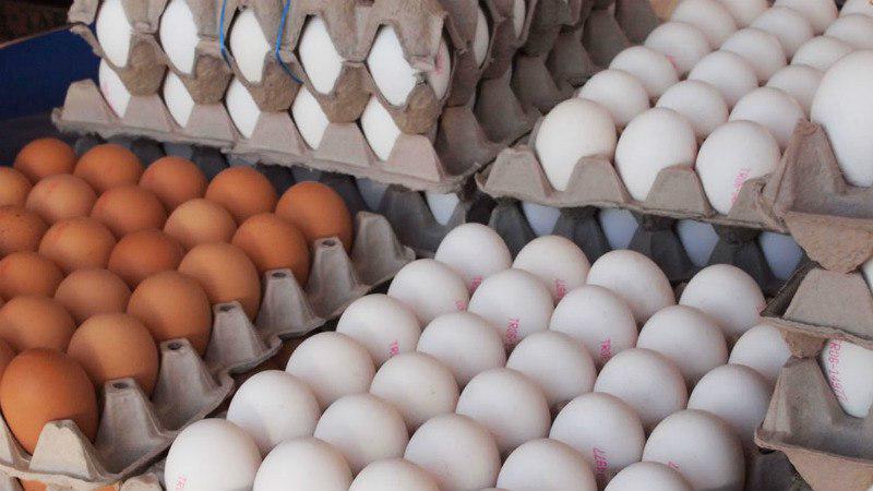 دلایل عدم استقبال مردم از تخم‌مرغ‌های وارداتی/ تخم‌مرغ‌های وارداتی ۲هفته در راه بازار ایران هستند