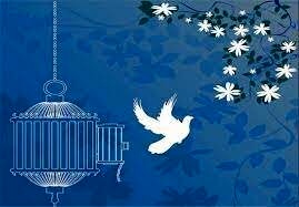 آزادی ۱۶۷۰ زندانی به حرمت ماه مبارک رمضان