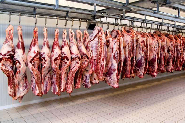  چقدر از گوشت مورد نیاز کشور در داخل تولید می‌شود؟ 