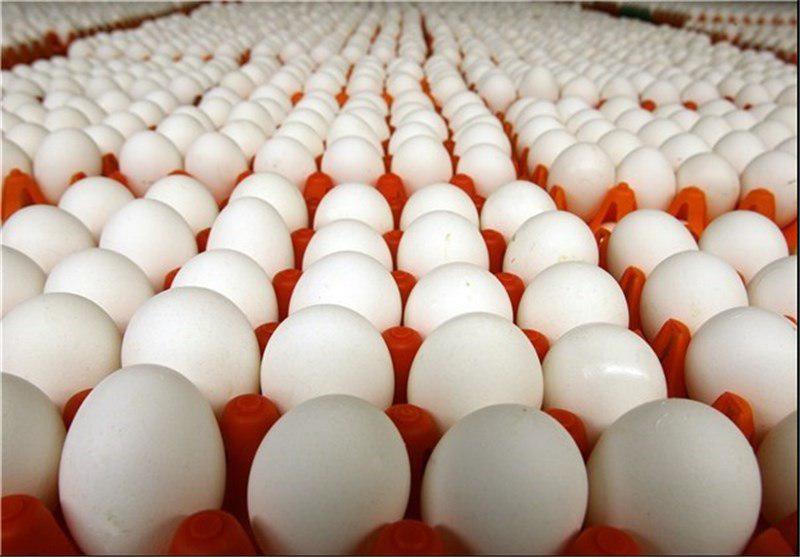 افزایش قیمت دلار و خشکسالی موانع کاهش قیمت تخم‌مرغ/ منتظر کاهش چشمگیر قیمت تخم‌مرغ نباشید