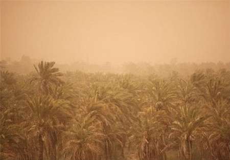 چاره ریزگردهای خوزستان چیست؟
