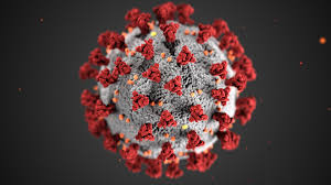 چرا ویروس کرونا در نقاط مختلف بدن عمل می‌کند؟