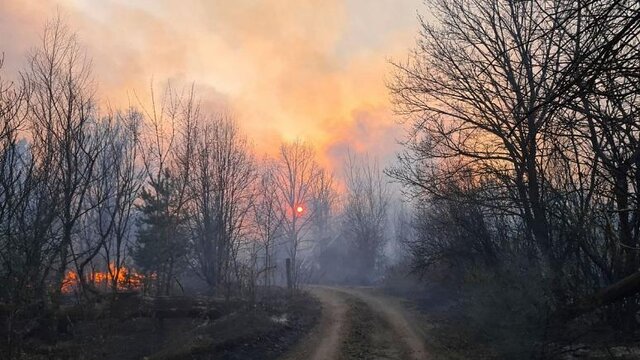 خبر بد از آتش سوزی در جنگل الندان کیاسر