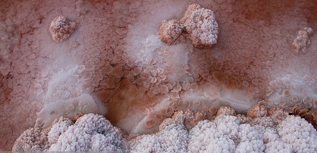 وجود لیتیوم در دریاچه ارومیه صحت دارد؟