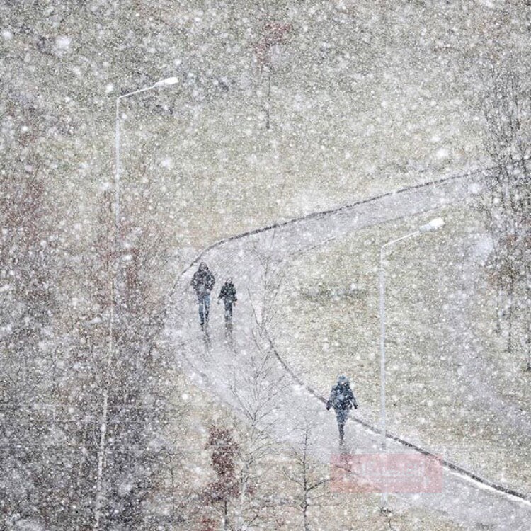 بارش برف سنگین در بلاروس +عکس