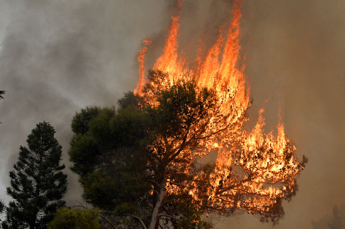 آتش‌سوزی گسترده در جنگل‌های هاتای ترکیه + فیلم