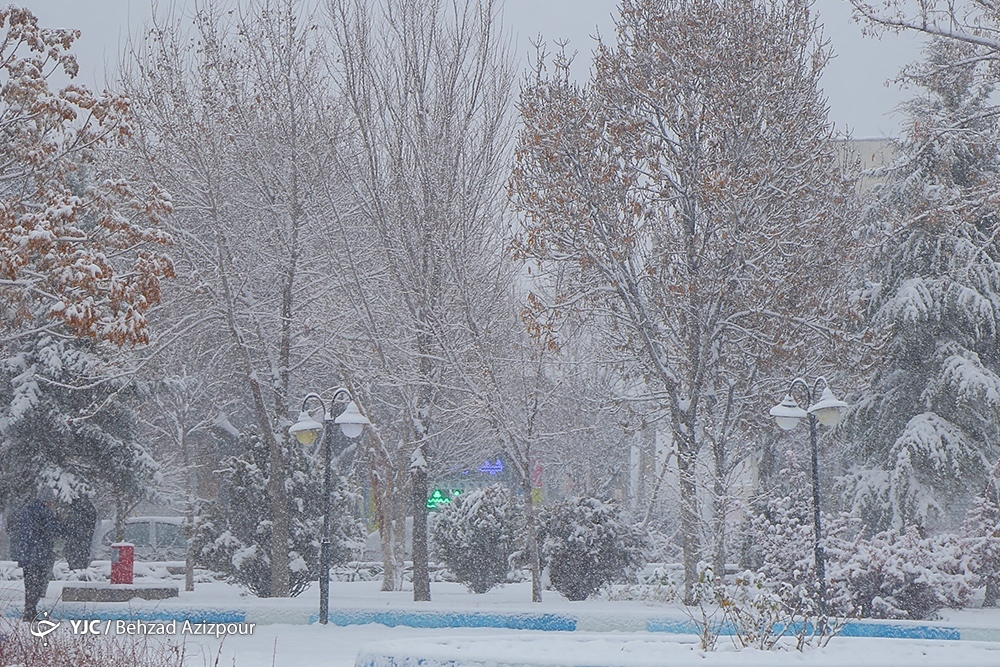 چشم نوازی برف در خیابان های تبریز + عکس