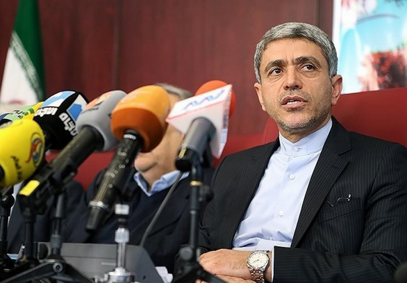 طیب‌نیا: کمیسیون مشترک اقتصادی ایران و اسلواکی تشکیل می‌شود