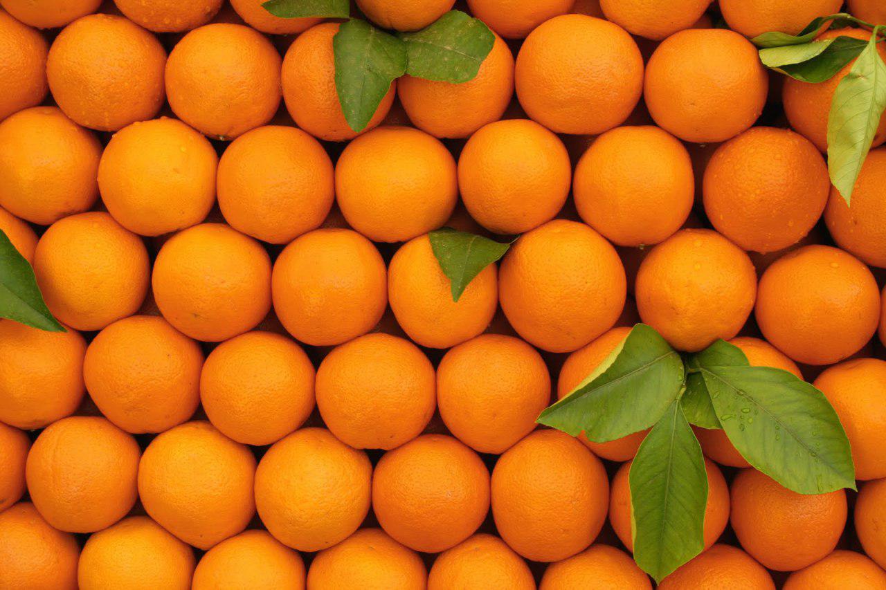 پرتقال‌های درجه‌یک بازار تمام شد