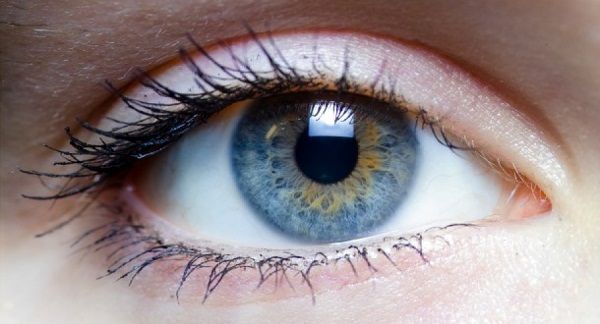 نشانه هشدار دهنده بیماری شبکیه چشم