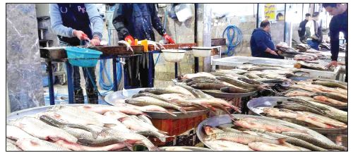 کاهش قدرت خرید و افت مصرف ماهی خانوارها
