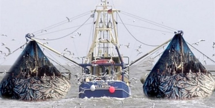 ضبط شناور‌های صید ترال به نفع دولت