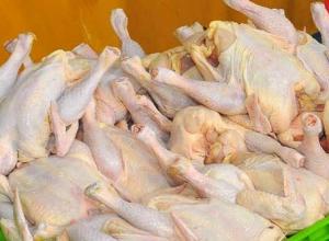 افزایش مجدد نرخ مرغ در بازار