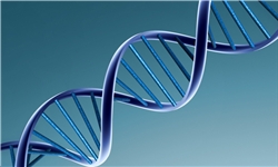 تشخیص DNA با وان حمام چیست؟