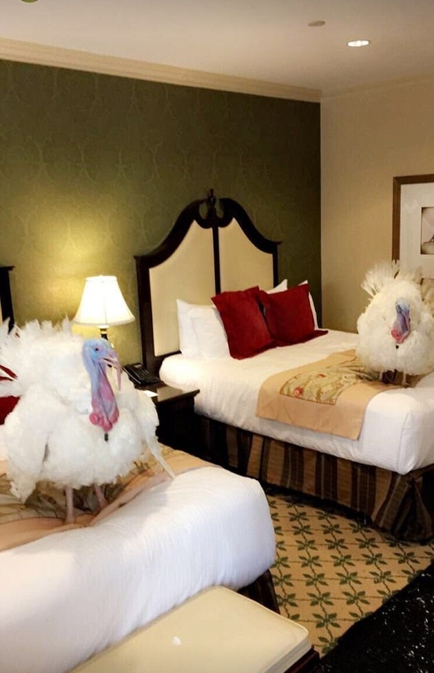 هتل مجلل بوقلمون‌های جشن شکرگزاری کاخ سفید +عکس
