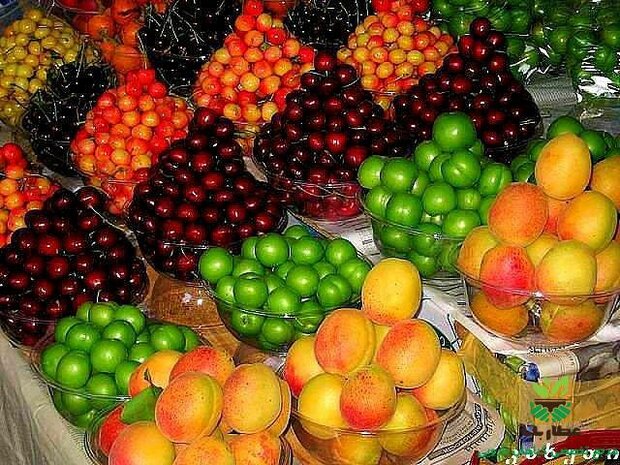 آخرین قیمت میوه‌های نوبرانه