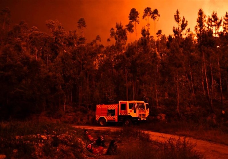 تصاویر هوایی از آتش سوزی ویران کننده جنگل‌های پرتغال +فیلم