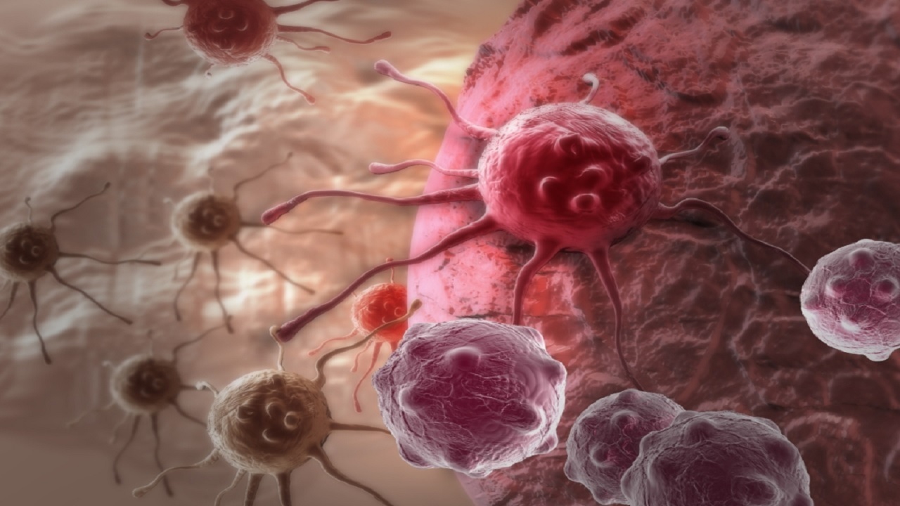  دانشمندان درباره مرگبارترین سرطان‌ ها هشدار دادند