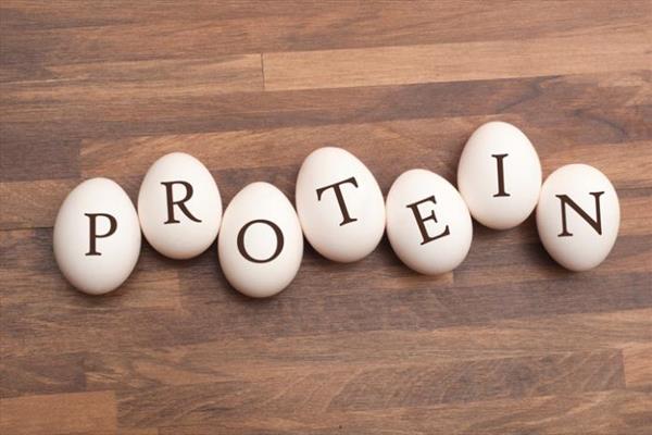 علائم کمبود پروتئین در بدن
