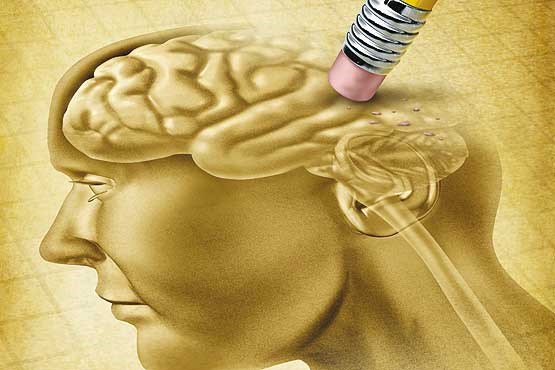 کشف درمان برای معکوس کردن از دست رفتن حافظه بر اثر آلزایمر 