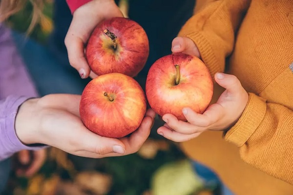 مصرف یک سیب در روز چه فوایدی دارد؟