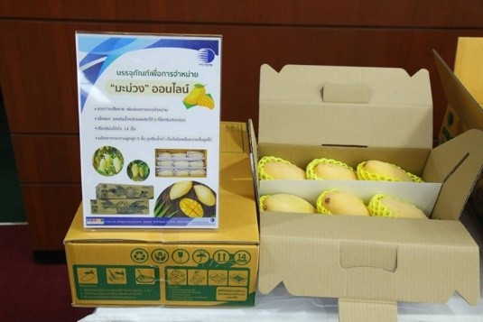 سه نوآوری تایلند در صنعت بسته‌بندی/ حفظ تازگی و بوی مطبوع قهوه با استفاده از جعبه‌های اوزون
