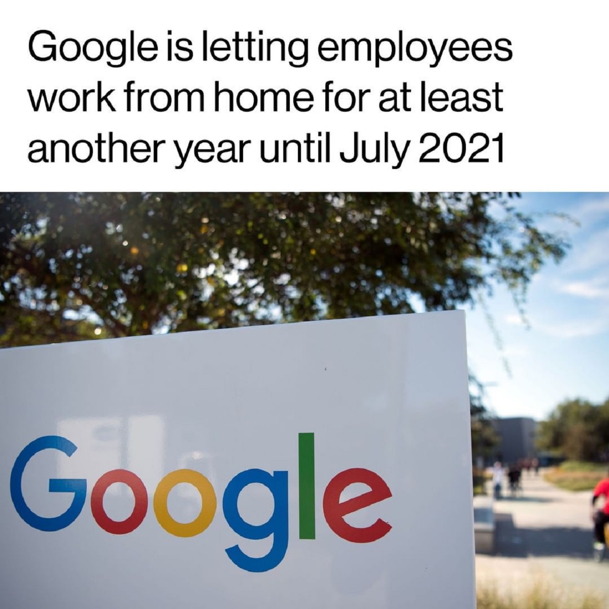 گوگل تبلیغات سیاسی را ممنوع می‌کند