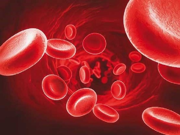کنترل سطح آهن خون به افزایش طول عمر کمک کند