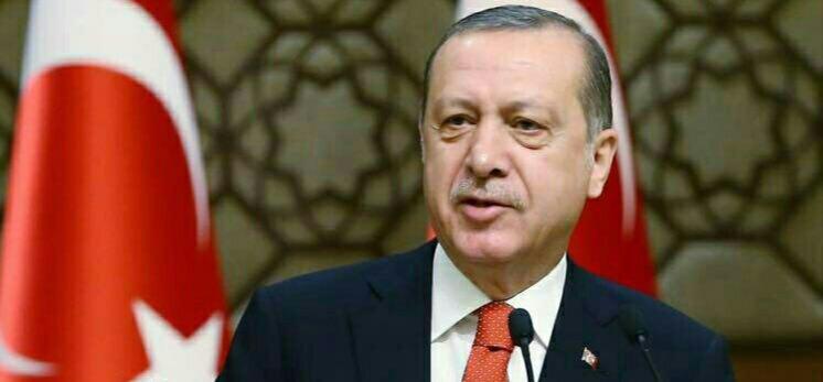 حمله اردوغان به سفیر آمریکا در ترکیه