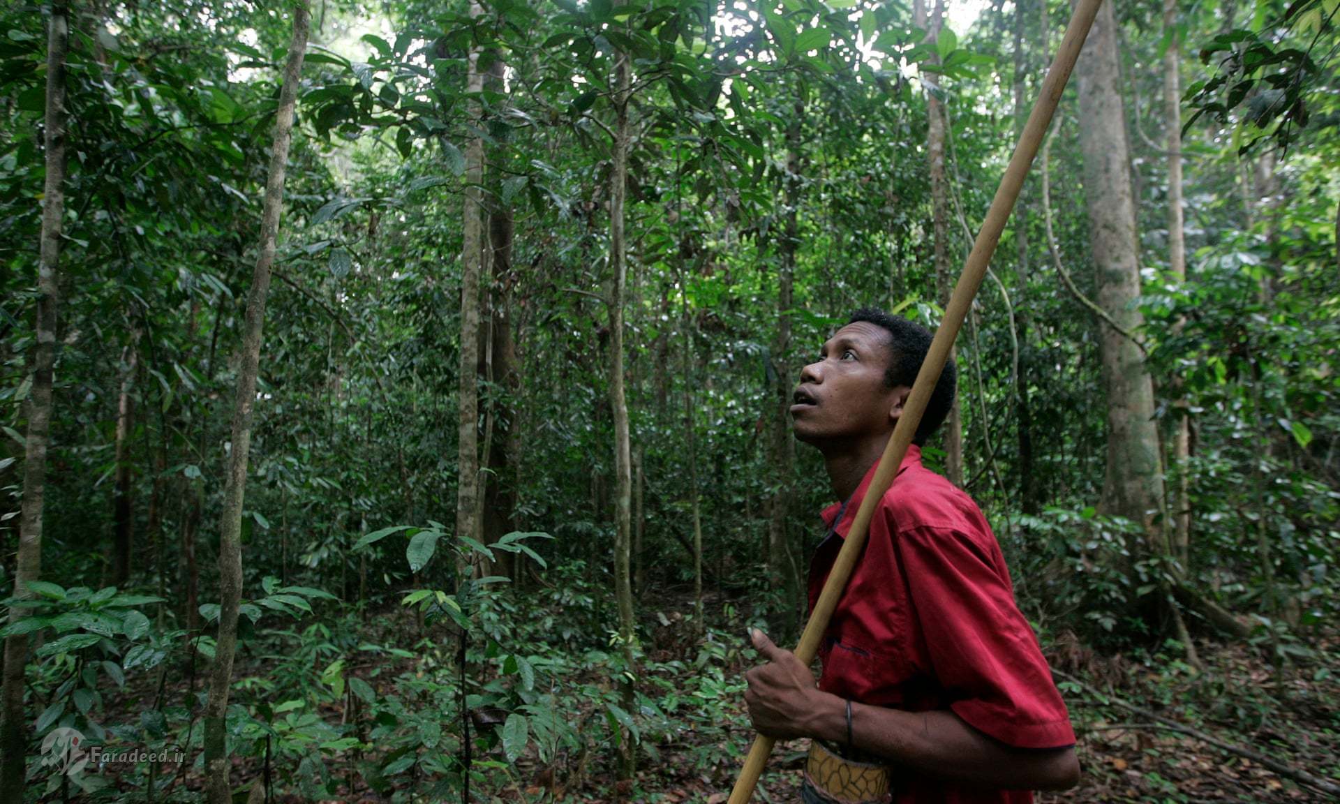 بیماری مرموز مرگبار در آخرین قبیله بومی مالزی +تصاویر