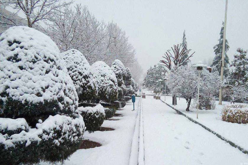 هشدار هواشناسی تهران؛ کولاک برف در راه است