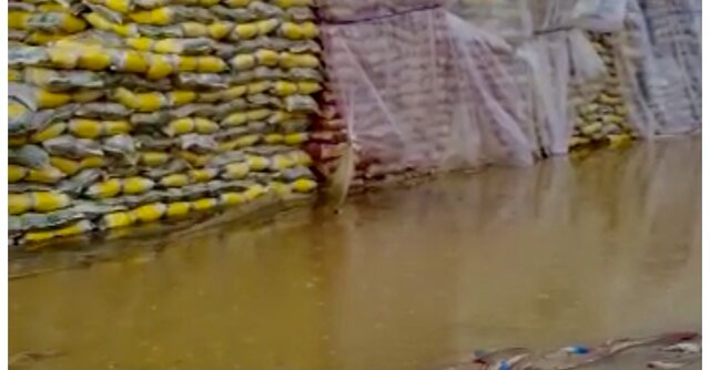 گمرک برای برنج های خیس خورده به وزارت صمت نامه زد