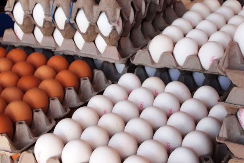 کاهش قیمت تخم مرغ به زیر نرخ مصوب