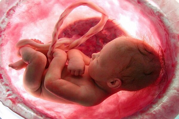 سقط سالانه ۴۰۰هزار جنین بصورت غیرقانونی 
