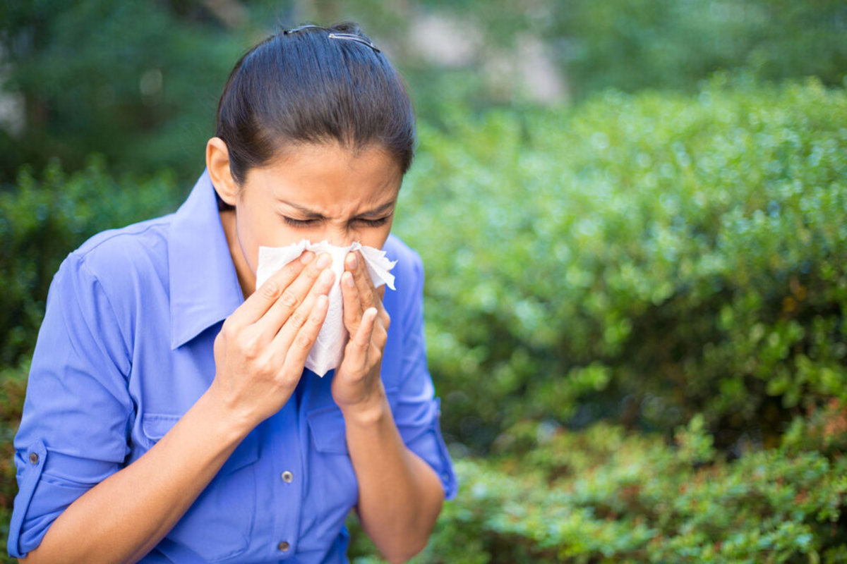 بهترین روش مقابله با حساسیت پاییزی / چطور آلرژی فصلی را درمان کنید؟