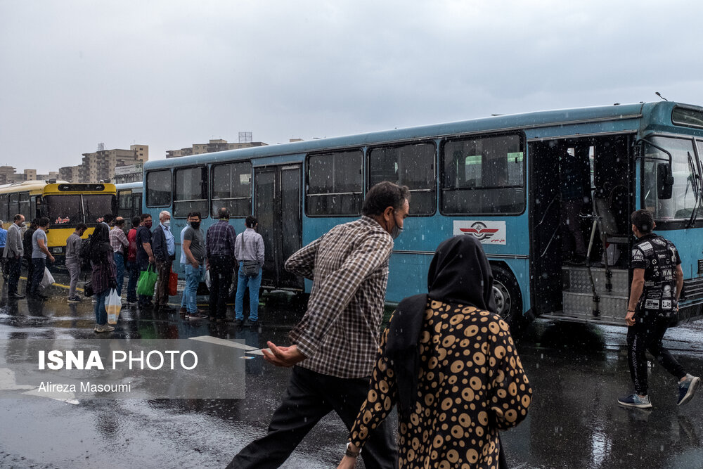 بارش باران بهاری در تهران + عکس