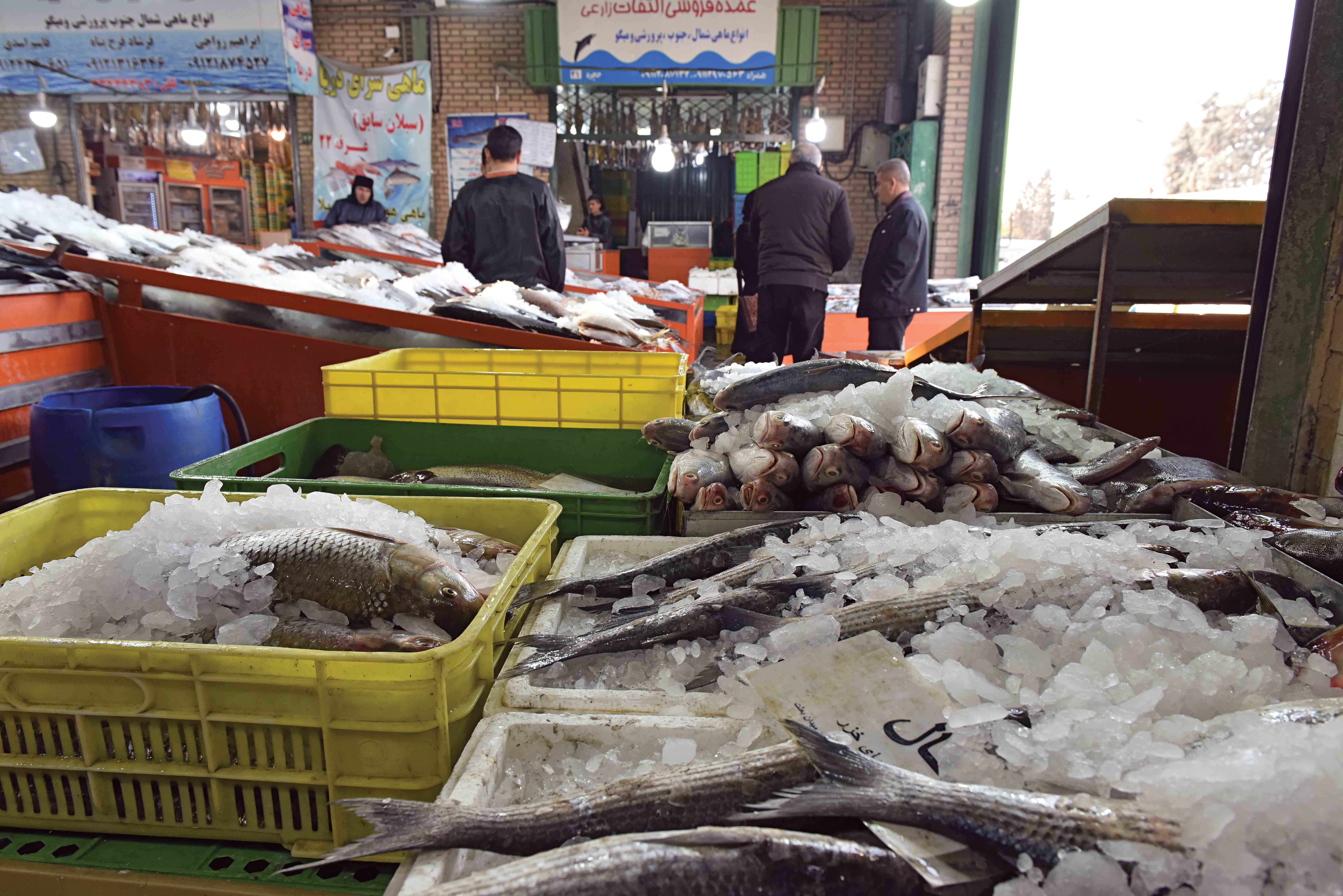 افزایش هزینه تمام شده تولید انواع ماهی