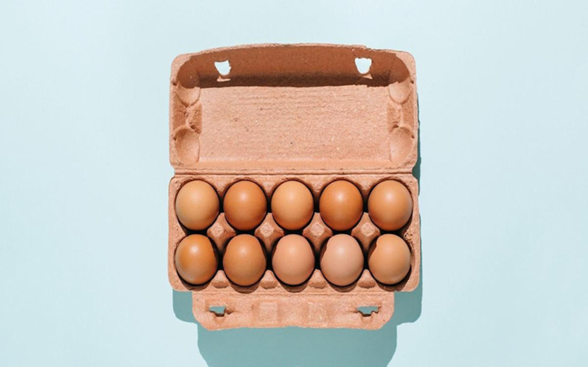 رژیم‌ های غذایی با تخم مرغ خوب یا بد!