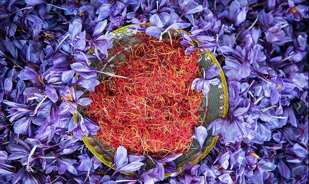 صدور زعفران ایرانی با یک برند قدرتمند/ سهم‌خواهی ۸۰درصدی ایران از بازار جهانی زعفران