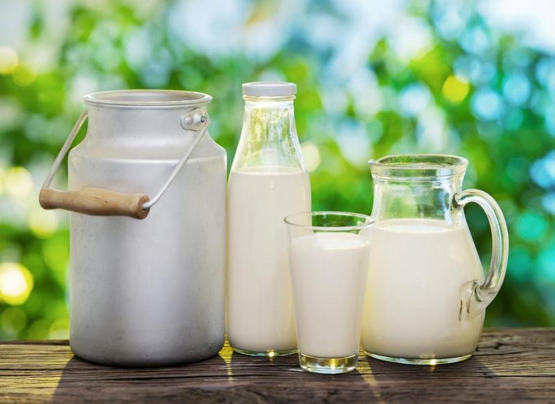 عرضه شیر مرجوعی کارخانه ها در واحدهای لبنی سنتی