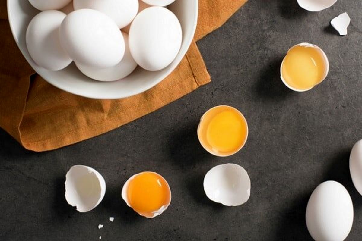 سفیده تخم مرغ مصرف کنیم یا تخم مرغ کامل؟