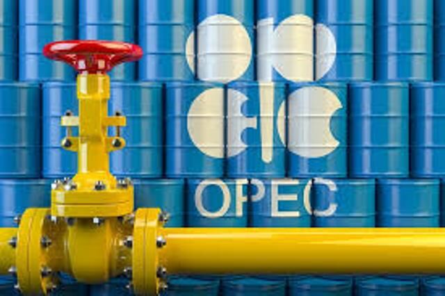 پیش‌بینی اوپک از افزایش قیمت نفت خام