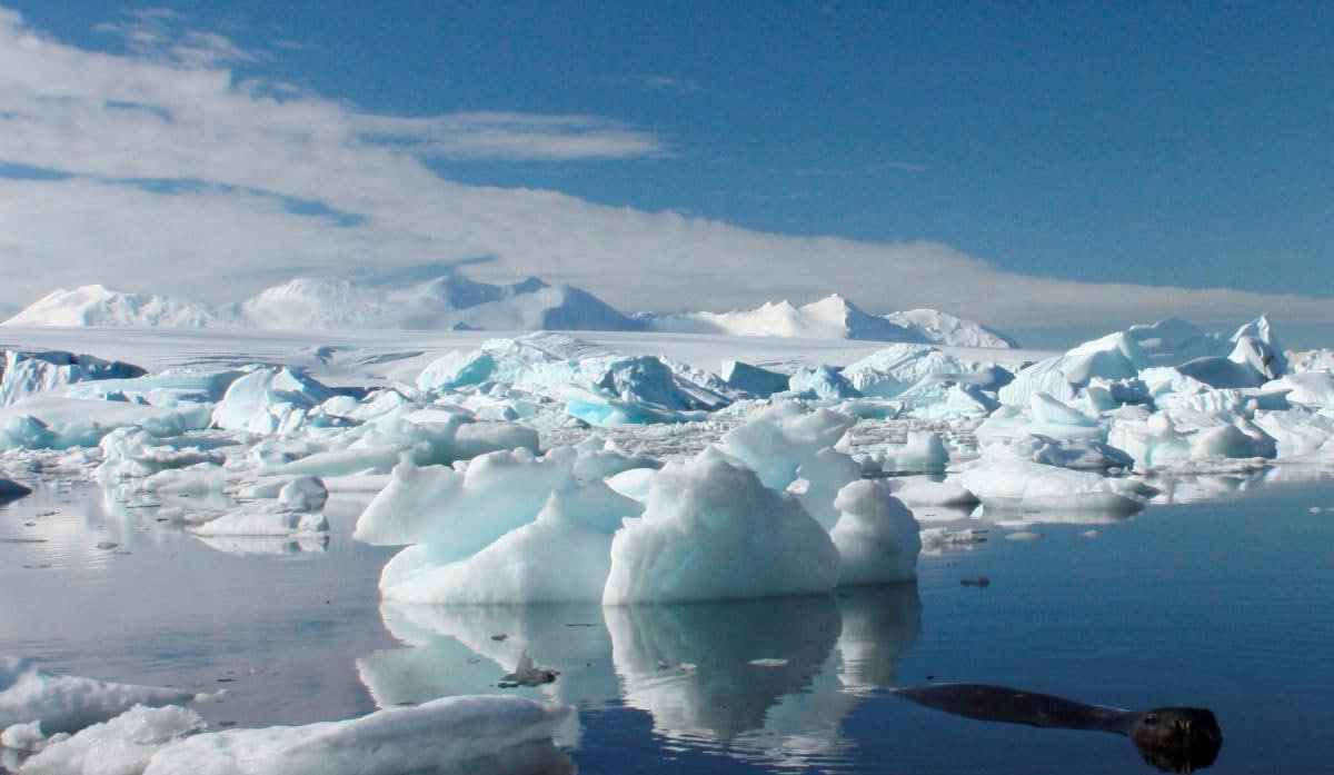 بحران محیط زیستی؛ یخ دریا در قطب جنوب به پایین ترین سطح رسید! + عکس