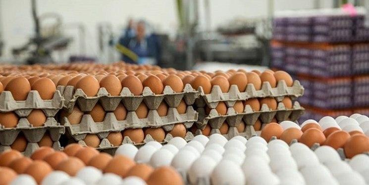 اختلال در شبکه توزیع، بازار تخم مرغ را متشنج کرد