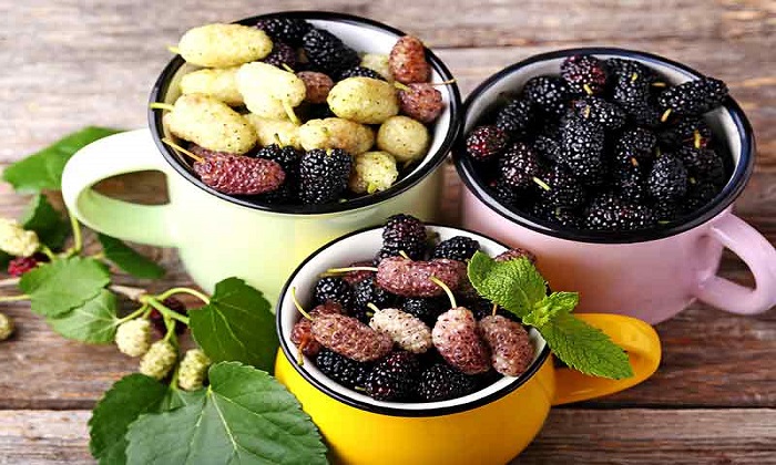 این میوه‌ها به درمان سرطان کمک می‌کند