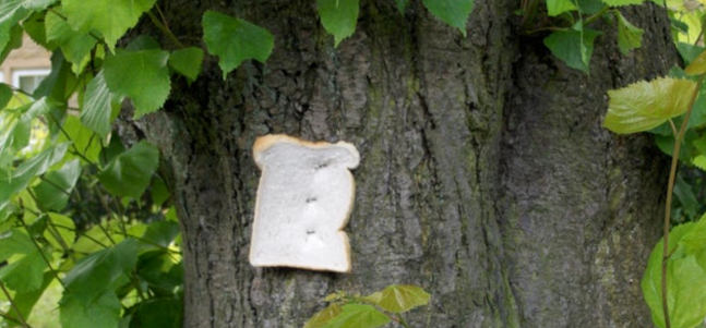 ماجرای چالش بی‌نام و نشان نان بر درخت چیست؟ +تصاویر